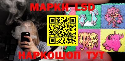 бошки Кингисепп