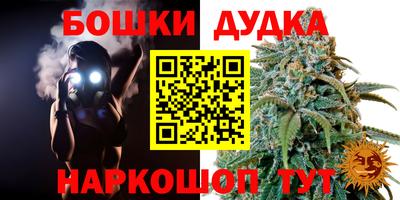 бошки Кингисепп