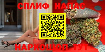 бошки Кингисепп
