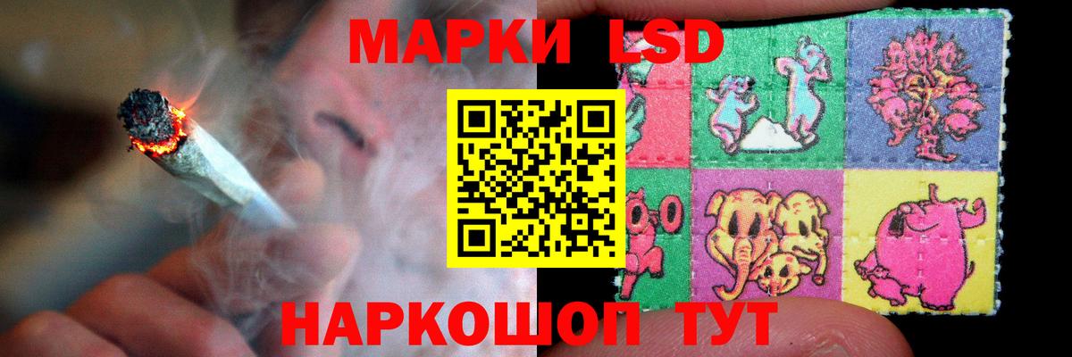 LSD-25 экстази кислота  Вход с VPN  Лсд 25 экстази  LSD-25 экстази ecstasy  Курчалой 
