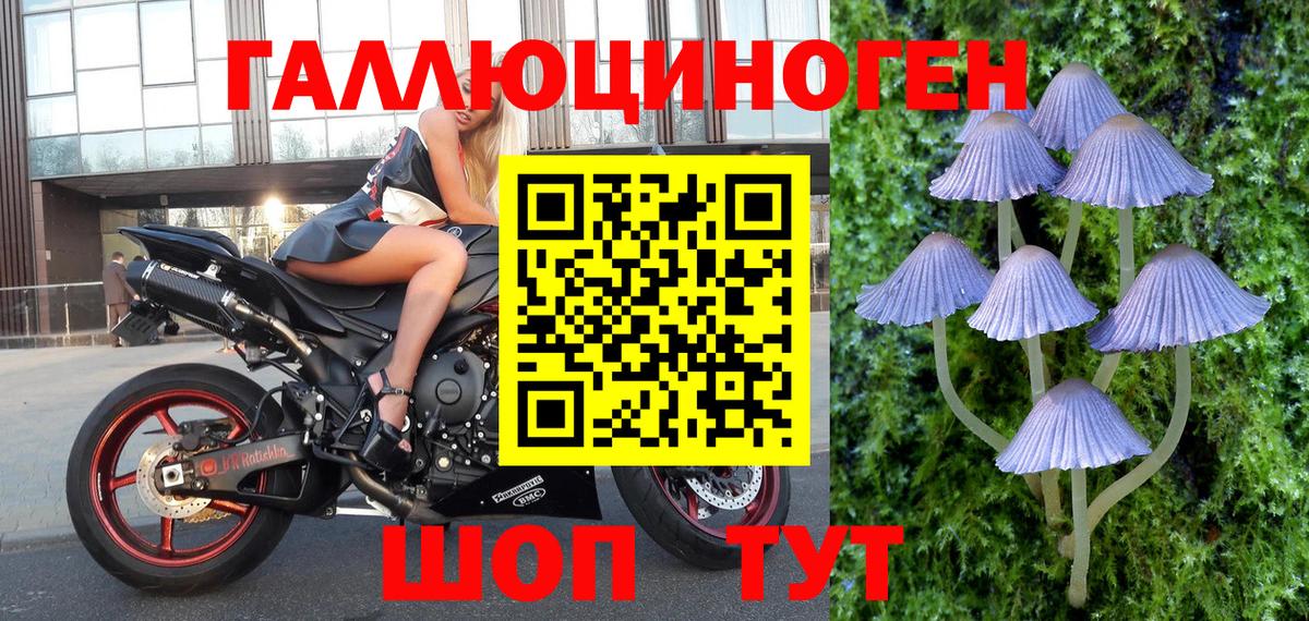 Галлюциногенные грибы MAGIC MUSHROOMS Курчалой