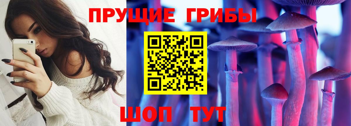 Курчалой  Псилоцибиновые грибы MAGIC MUSHROOMS  Вход с VPN 