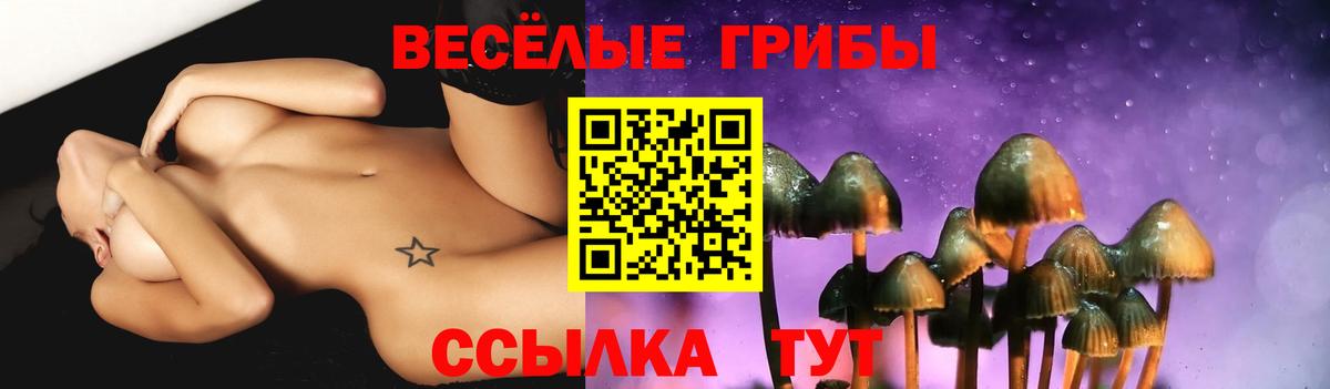 Канабис  Курчалой  Вход с VPN  НБОМе  Купить наркотик  COCAIN  Меф кристаллы 
